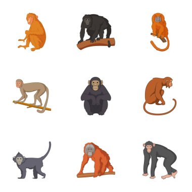 Şempanze Icons set, karikatür tarzı tür