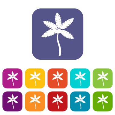 Palmiye ağacı ile Hindistan cevizi Icons set