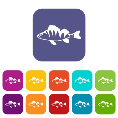 Tatlısu levreği, Perca fluviatilis Icons set
