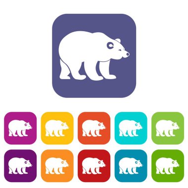 Ayı Icons set