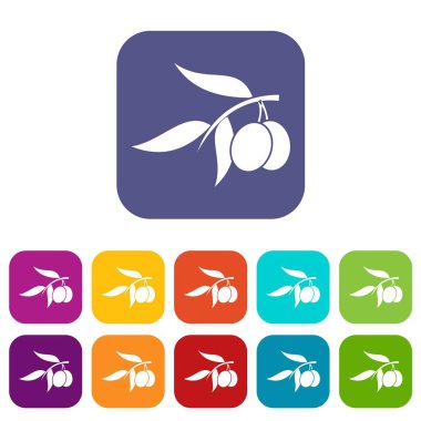 Zeytin ağacı dalı iki zeytin simgelerle ayarla