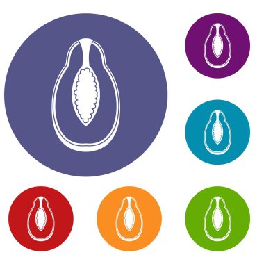 Papaya meyve Icons set