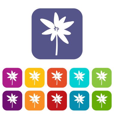 Uzun palmiye Icons set