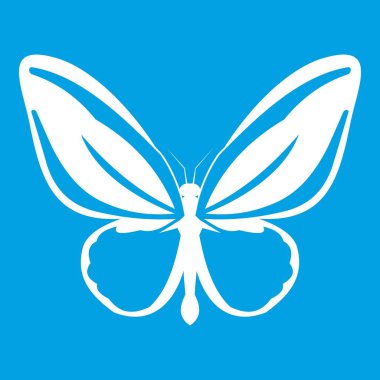 Kelebek simgesi Beyaz