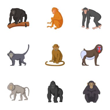 Maymunlar Icons set yetişkin bireylerin