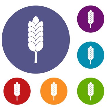 Büyük spica Icons set