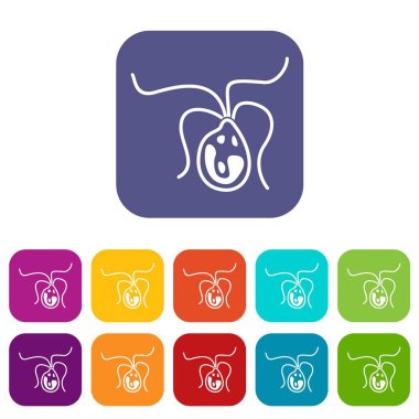 Bakteri hücre Icons set