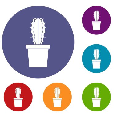 Cactaceae kaktüs Icons set