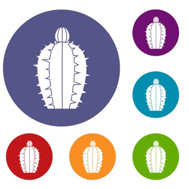 Çiçek açan kaktüs Icons set