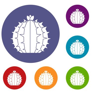 Lophophora kaktüs Icons set