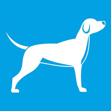 Köpek simgesi Beyaz
