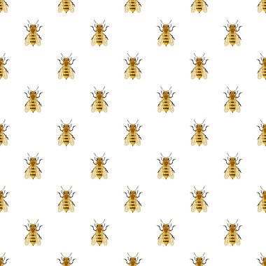 Böcekler arı desen