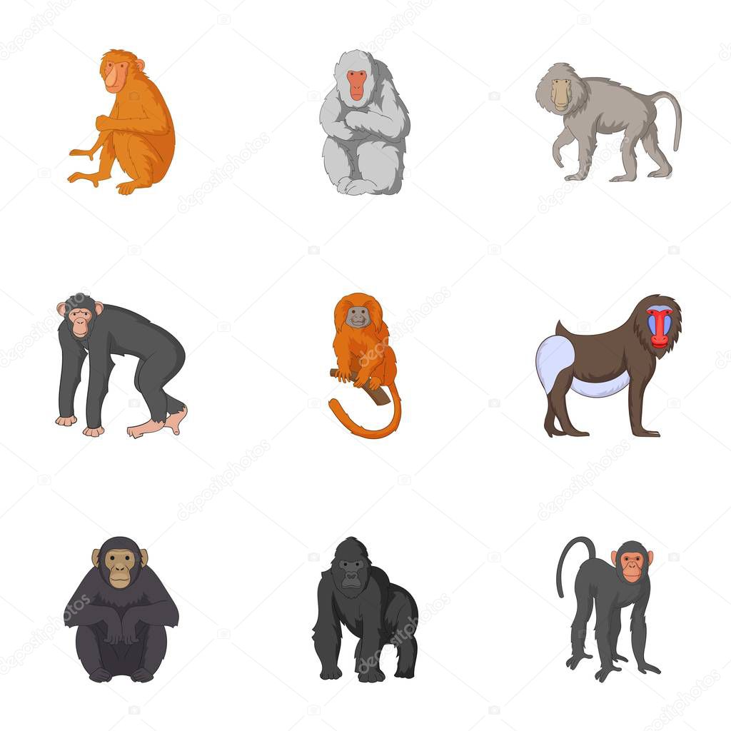 Types of orangutans icons set, cartoon style