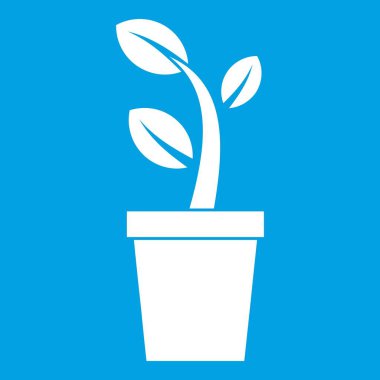 Pot simgesi beyaz filiz