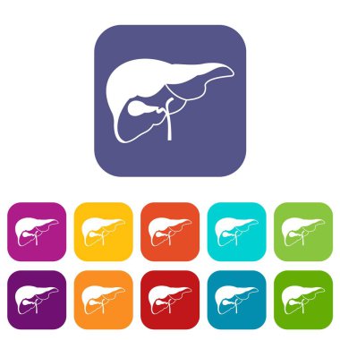 Karaciğer Icons set