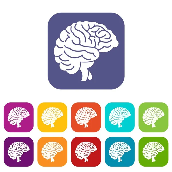 Brain icons set — Stock Vector