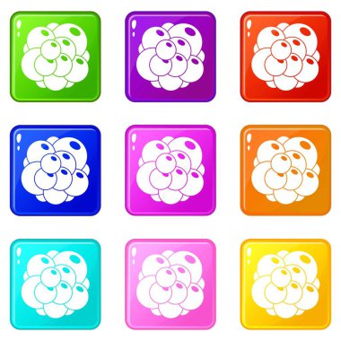 9 yumurtalık Icons set