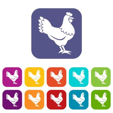 Tavuk Icons set