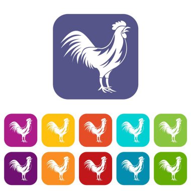 Galya horoz Icons set