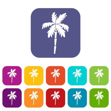 Palmiye ağacı Icons set