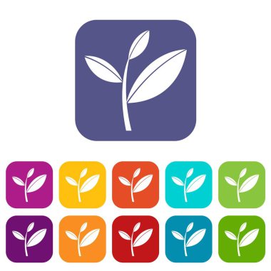 Çay yaprağı Filiz Icons set