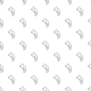 Bukalemun simgesi, anahat stili