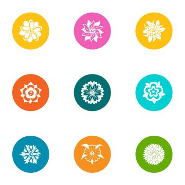 Buket Icons set, düz stil