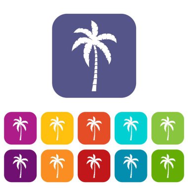 Palmiye ağacı Icons set