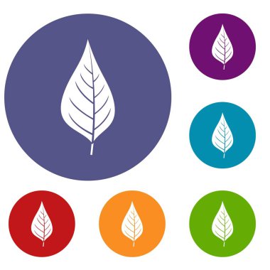 Elma ağacı yaprak Icons set