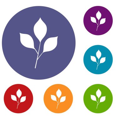 Kiraz yaprakları Icons set