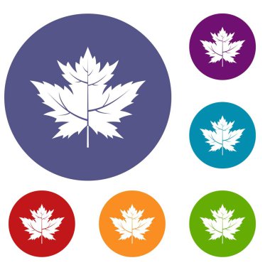 Bektaşi üzümü yaprağı Icons set