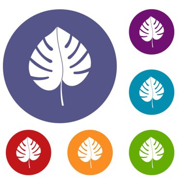Monstera Icons set yaprak
