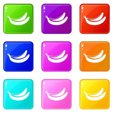 9 muz Icons set