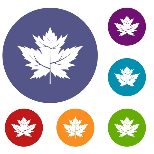 Bektaşi üzümü yaprağı Icons set