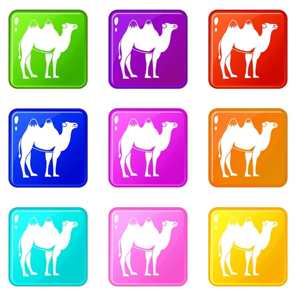 Camel icons set 9 — Stock Vector