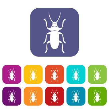 Beetle bug Icons set