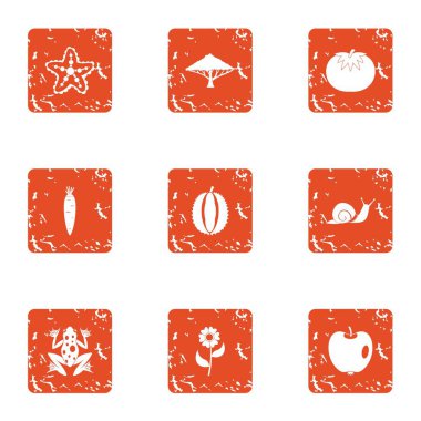 Asya çiftçi simgeler kümesi, grunge tarzı