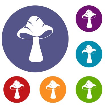 Büyük mantar Icons set