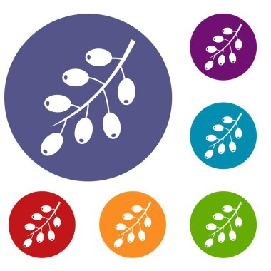 Kızamık şube Icons set