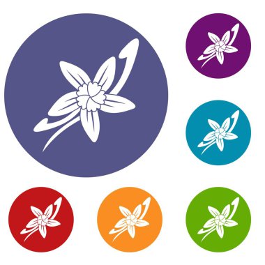 Bir çiçek Icons set ile vanilya çubukları