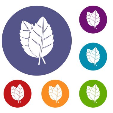 Icons set iki fesleğen yaprağı