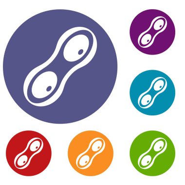 Fıstık kabukları Icons set