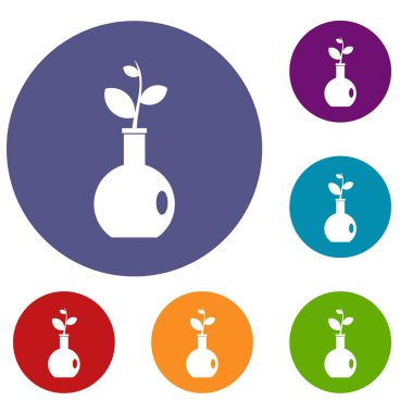 Vazo simgeler kümesi içinde bitki