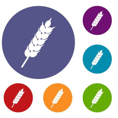 Kurutulmuş buğday kulak Icons set