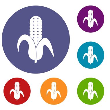 Mısır koçanı Icons set