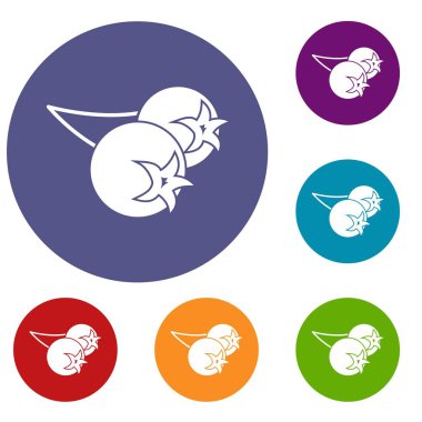 Chokeberry veya aronia berry Icons set