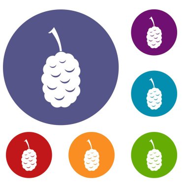Dut Icons set meyvesi