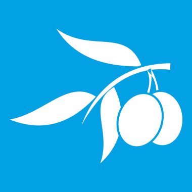 Zeytin ağacı dalı ile iki zeytin simgesi beyaz
