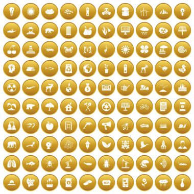 Altın 100 Eko bakım Icons set