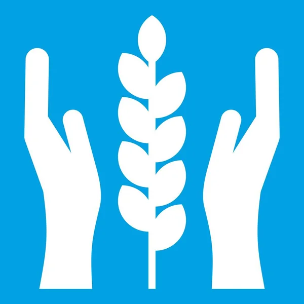 Mani e spighe di grano icona bianca — Vettoriale Stock